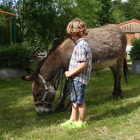 Campsite Camping L'oasis
