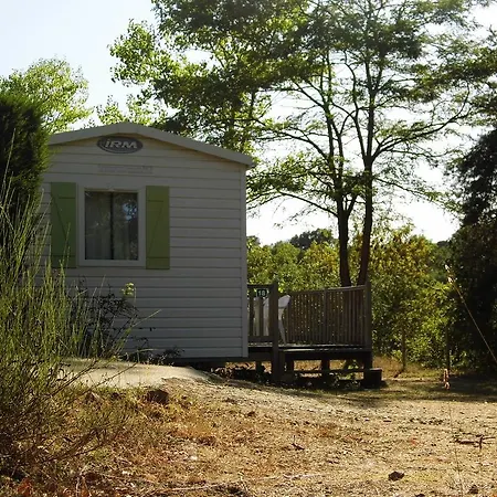 Campsite Camping L'oasis Eclassan